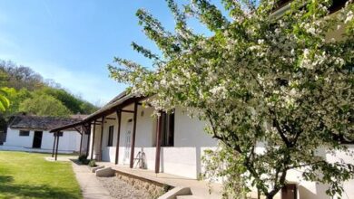 Pusztakisfalu Vendégház 2 - Lovászhetény 