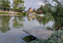 Rana Verde Zöld Béka Vendégház Békésszentandrás 