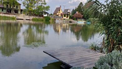 Rana Verde Zöld Béka Vendégház Békésszentandrás 