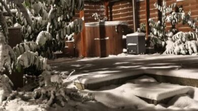 Ranunculus Vendégház Mátraszentimre 