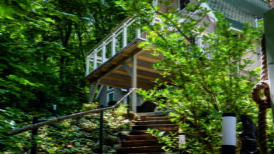 Redibo Erdei Vendégház Kismaros 