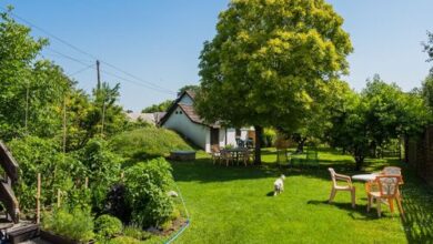 Regőczy Vendégház Zamárdi 