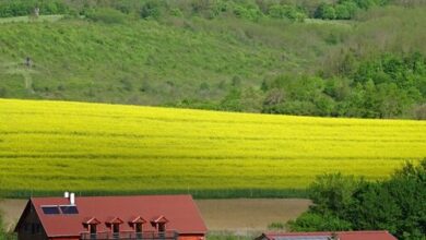 Rejtek Vendégház Lispeszentadorján 