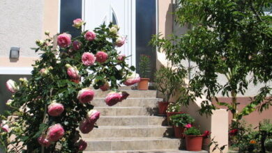 Réti Tanya Vendégház Kerecseny 