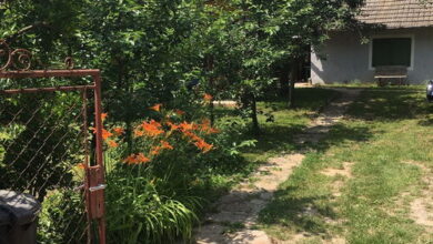 Révfülöpi Oázis Vendégház Révfülöp 