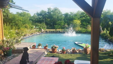 Rezi-dencia Gyógynövényfalu Rezi 