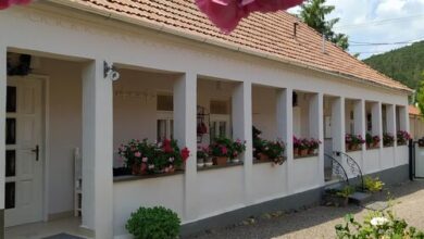 Ribizli Vintage Vendégház Parád 