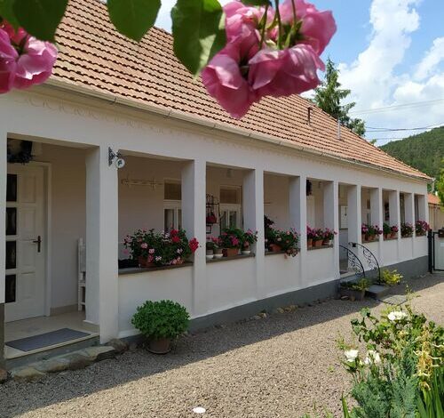 Ribizli Vintage Vendégház Parád 