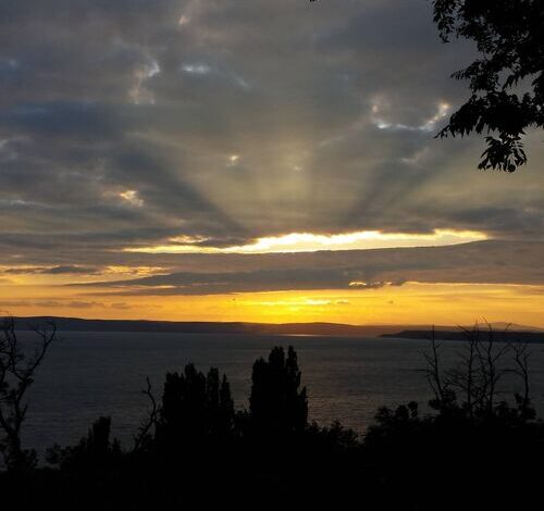 Rick Apartman Balatonaliga 