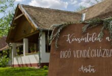 Rigó Vendégház és Rendezvényterem Gyopárosfürdő 