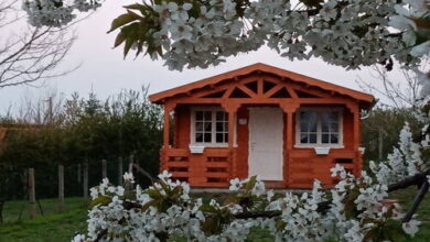 Rindor Vendégház Mohács 