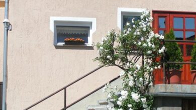 Rita Apartman Szombathely 