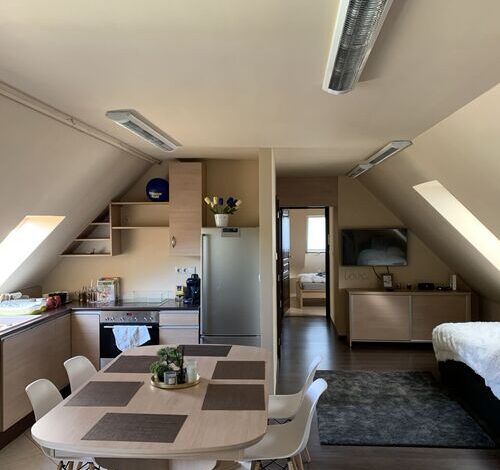 Robinson Szigete Apartman Balatonfüred 