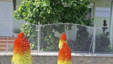 Rohonci Vendégház Kőszeg 