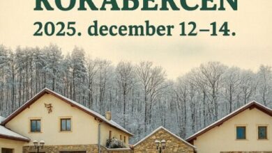 Rókabérc Vadászház Hotel Erdőbénye 