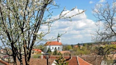 Rókusfalvy Borhotel Etyek 