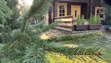 Rönk Vendégház Tiszaroff 