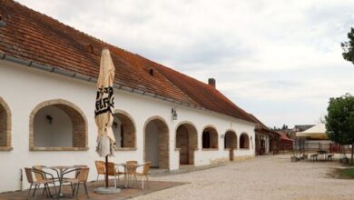 Róza Vendégházak Tényő 