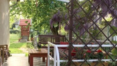 Rozica Apartman Balatonboglár 