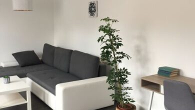Rozmaring Apartman Pécs 