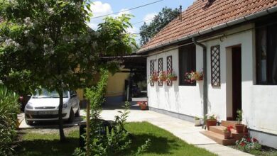 Rózsa Apartman Gyula 