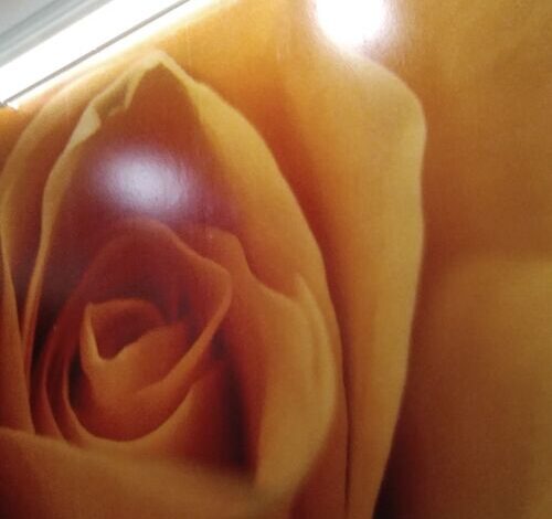 Rózsa Apartmanház Szeged 