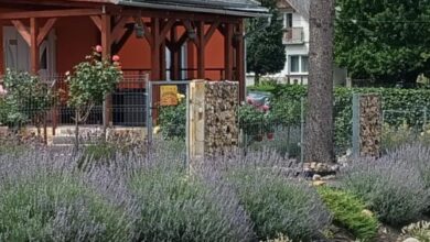 Rózsa Vendégház a Bakony-szívében Zirc 