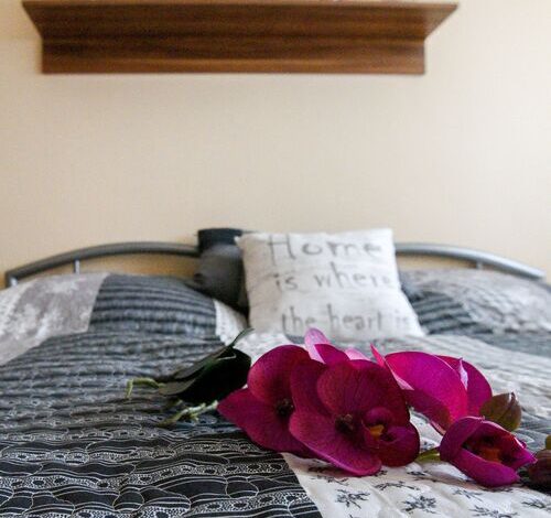 Rózsa Völgy Apartman Eger 