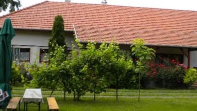 Rózsakert Apartman Poroszló 