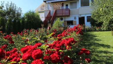 Rózsakert Vendégház Szigliget 