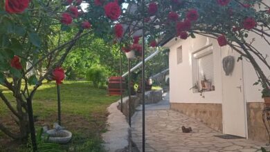 Rózsamorzsa Vendégház Szerencs 