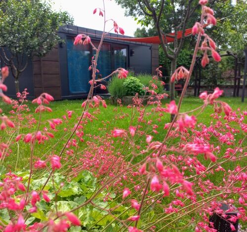 Rózsavölgy Vendégház és Vendégkert Szépasszonyvölgy Eger 