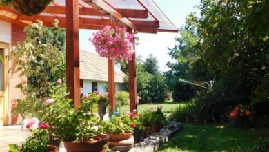 Rusztikus Apartmanház Látrány 