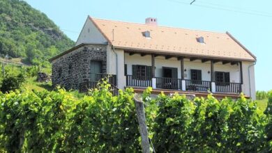 SÉD PINCE Vendégház Somlószőlős 