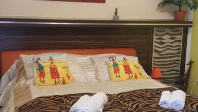 Safari Apartman Hajdúszoboszló 