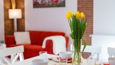 Sára-Lux Apartman Sarród-Nyárliget 