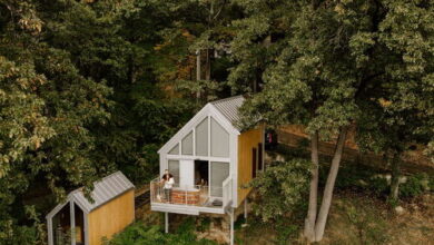 Sárga Rigó Noszvaj 