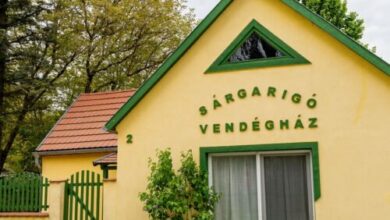 Sárgarigó Vendégház Bakonybél 