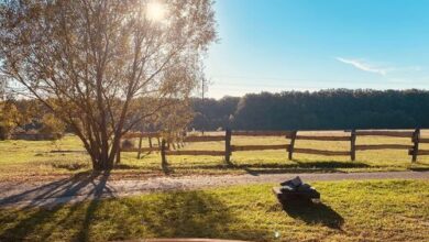 Sárkány Bio Panzió Csöde 