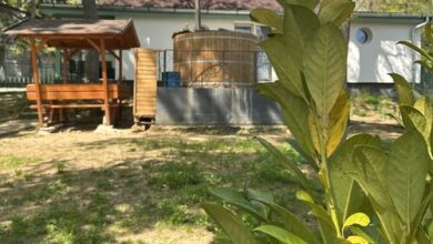 Sarkcsillag Vendégház Noszvaj 