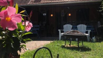 Sarud Házikó Sarud 