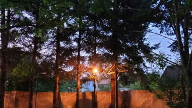 Savoya Apartman Borgáta 