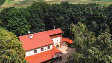 Senyői Vendégház Bózsva 