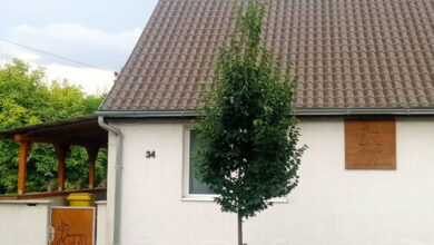 Servus Vendégház Lengyeltóti 