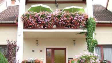 Siesta Vendégház Eger 