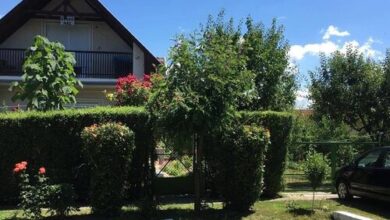 Silye Vendégház Hortobágy 