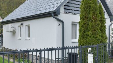 Singh Kuckó Bogács 