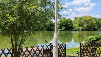 Sirató 82. Vendégház Békésszentandrás 