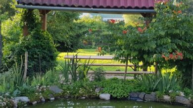 Smaragd Vendégház Szászvár 