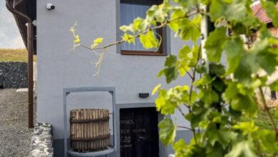 Somló Éden Somlószőlős 